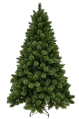[BLACK FRIDAY: Vánoční stromek WOODLAND SPRUCE]